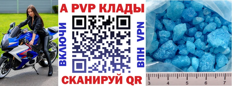 блэк спрут зеркало  что такое   Брюховецкая  Альфа ПВП СК 