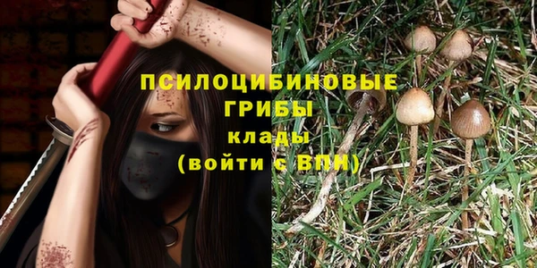 СК Богданович