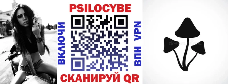 Псилоцибиновые грибы Psilocybine cubensis  Брюховецкая 